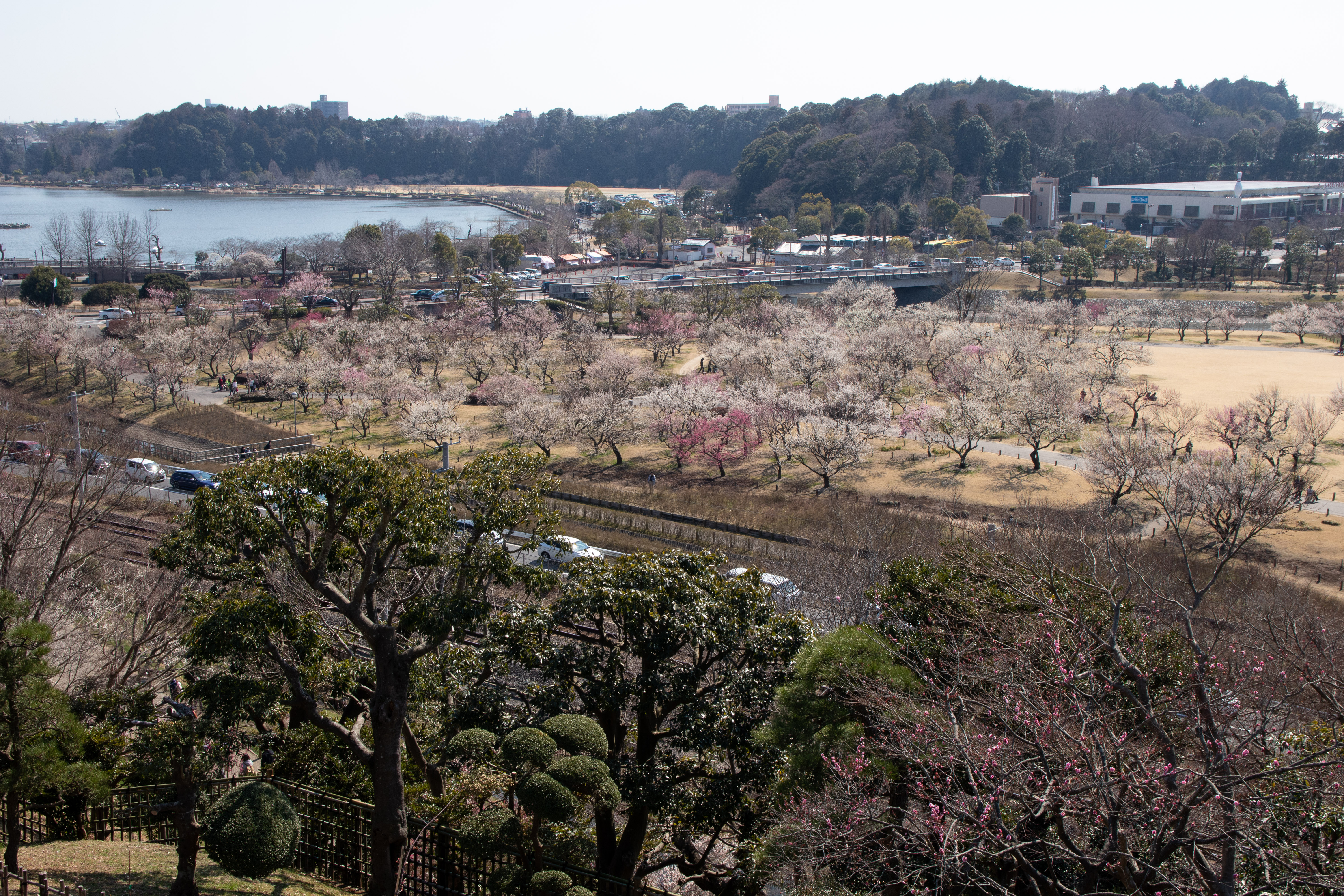 Ibaraki, Japan Hero Image