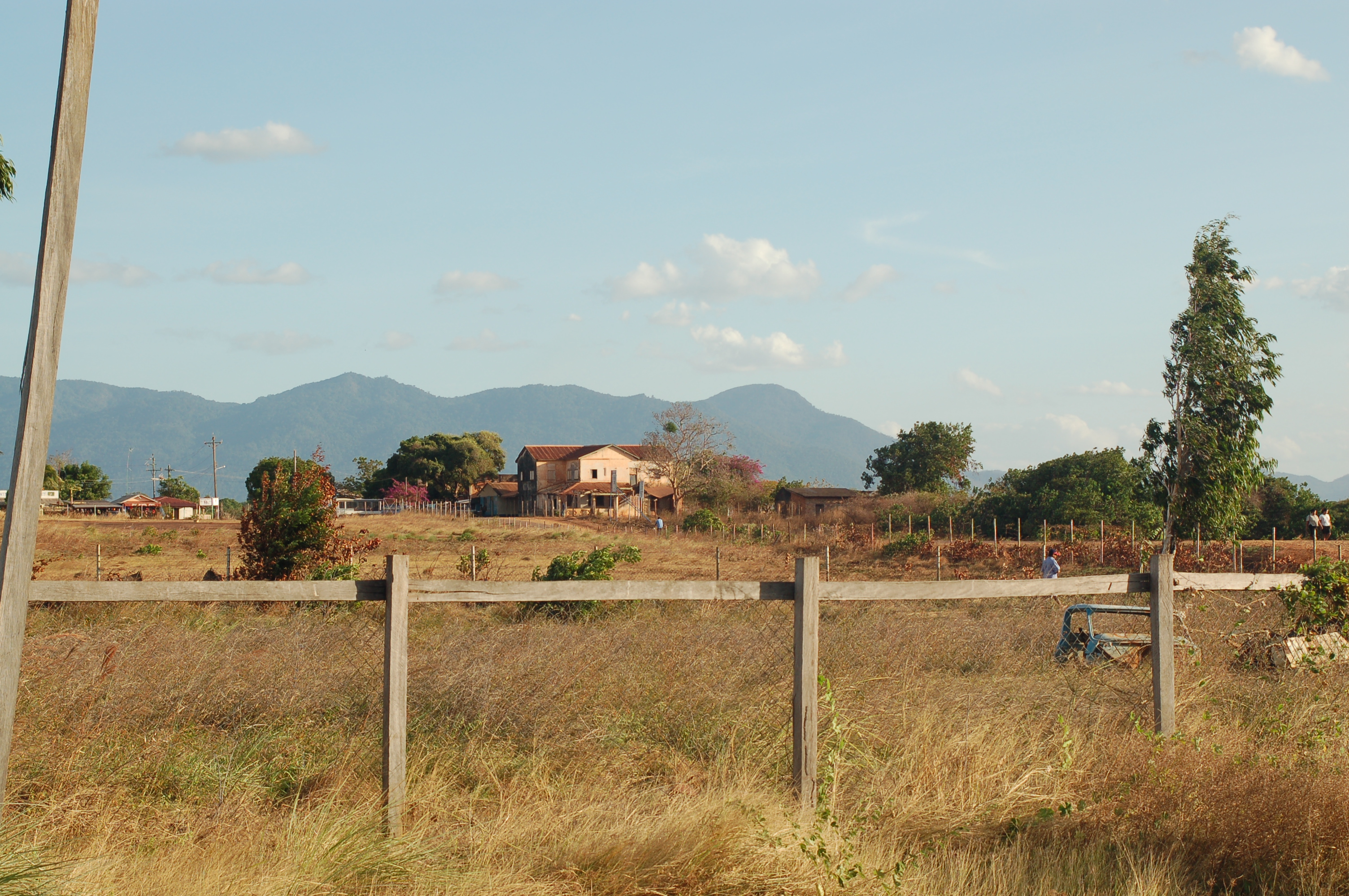 Rosignol
