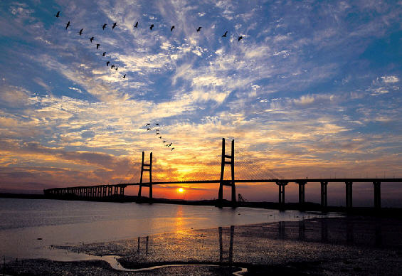 Pyeongtaek, South Korea Hero Image