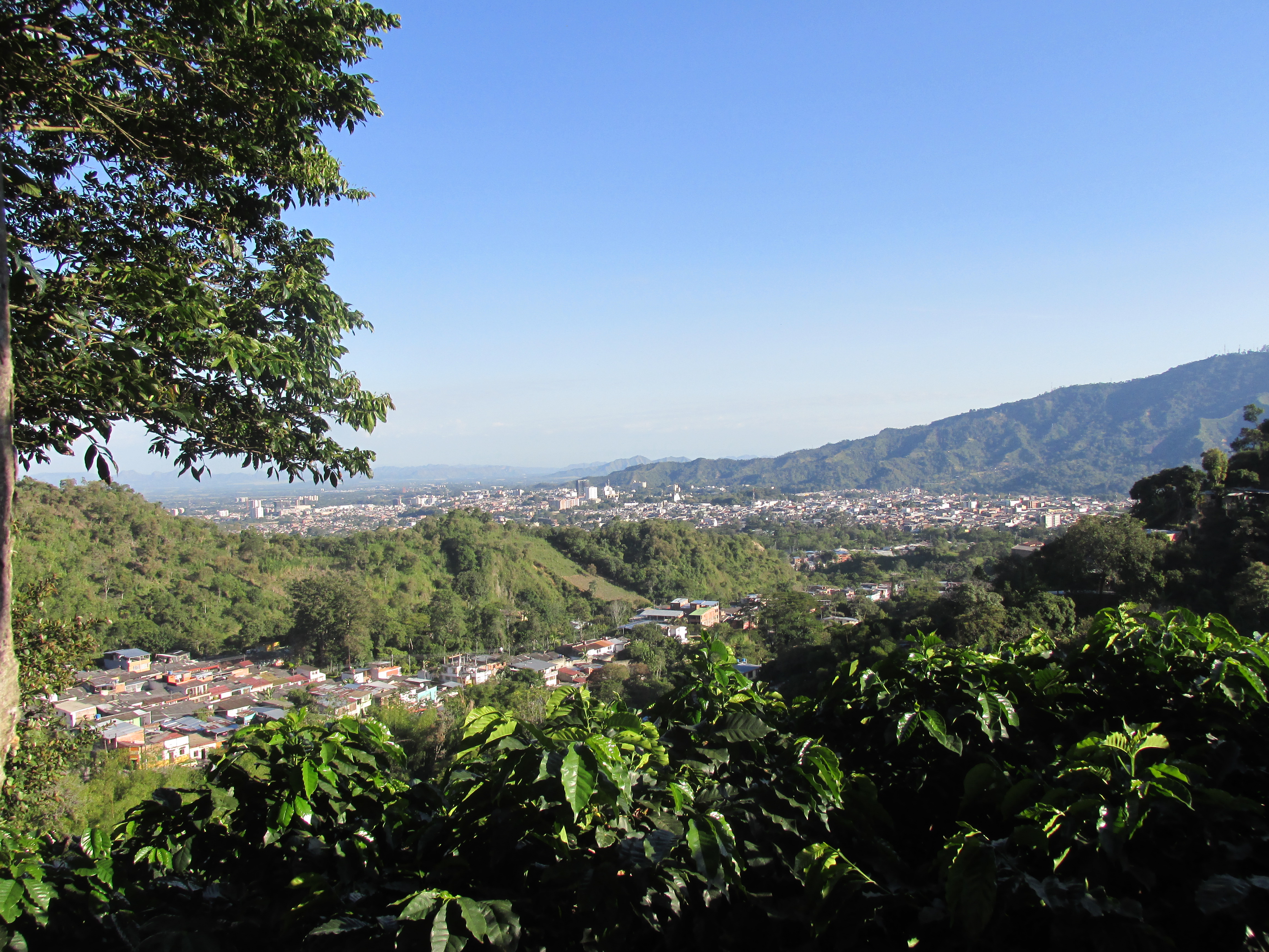 Ibagué, Colombia Hero Image