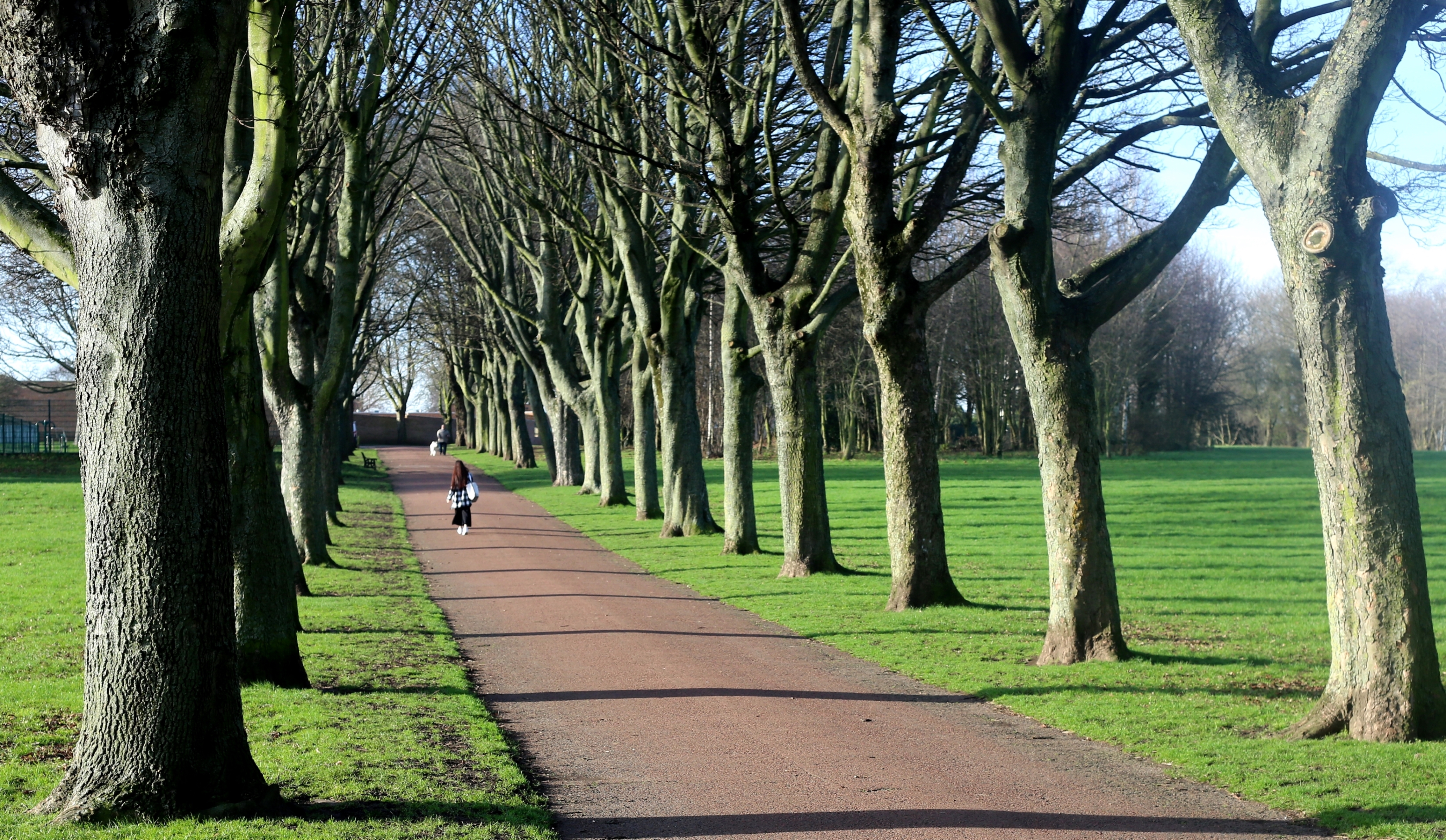 Rotherham, United Kingdom Hero Image