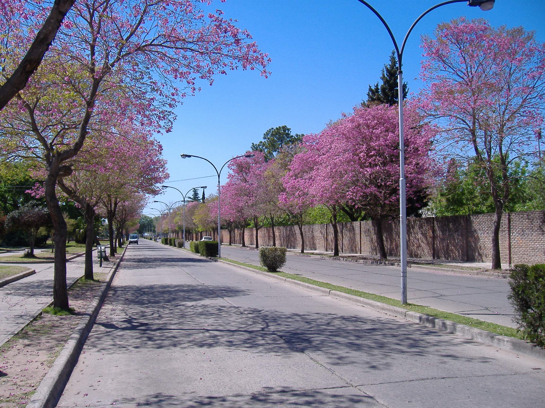 San Lorenzo, Argentina Hero Image