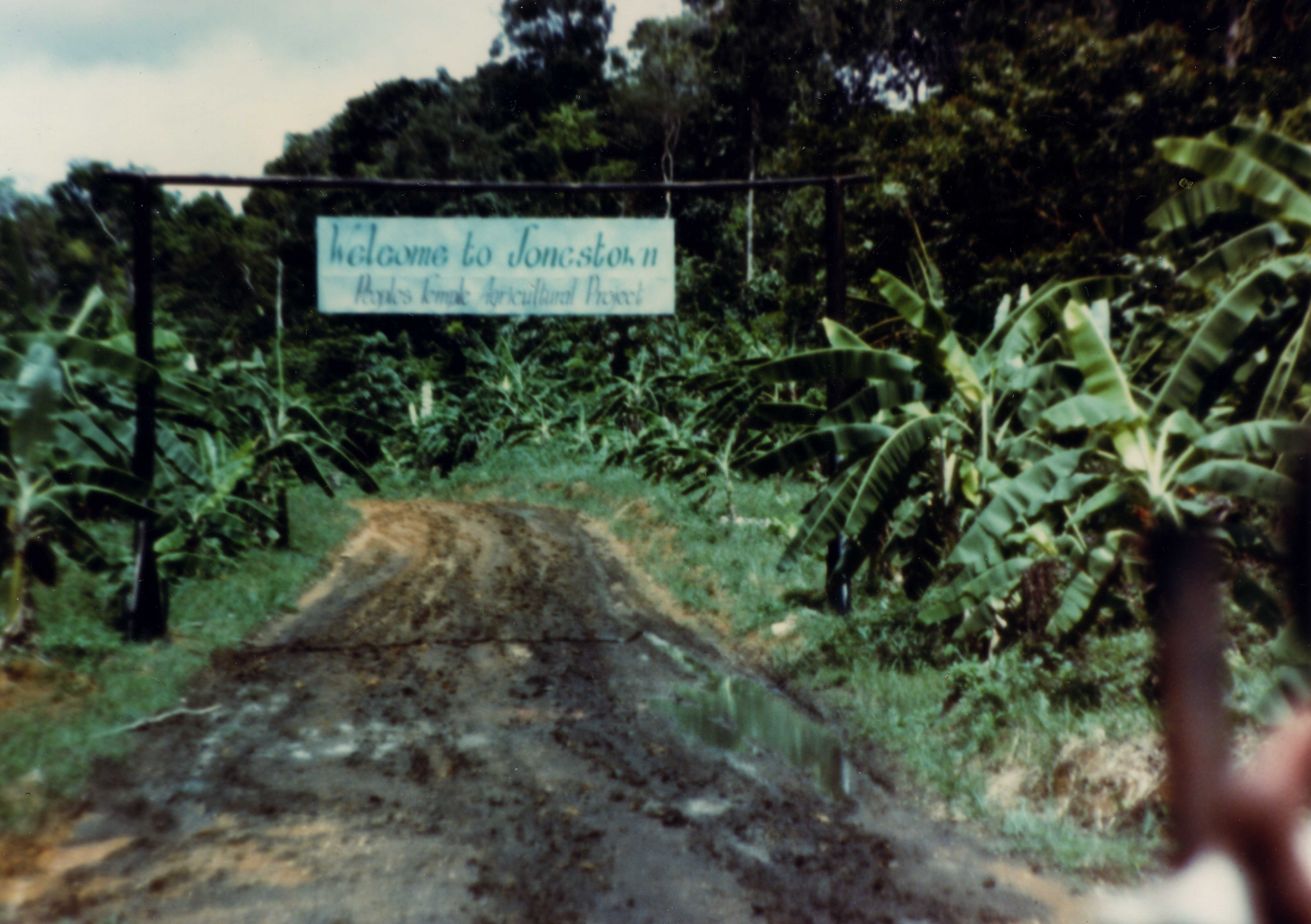 Paradise, Guyana Hero Image