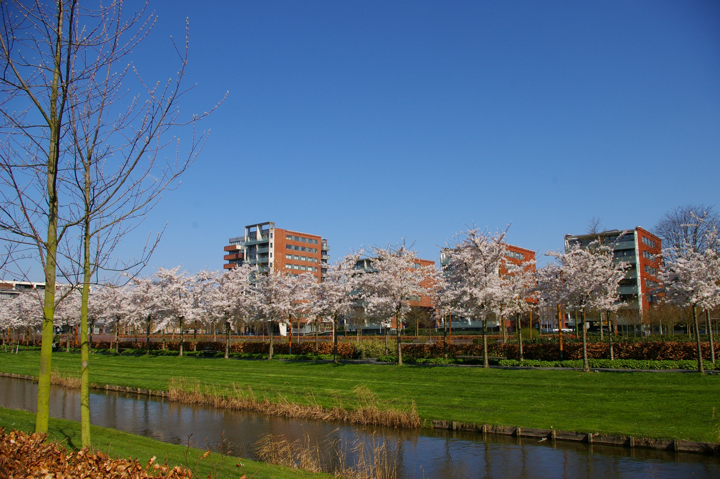 Amstelveen, Netherlands Hero Image
