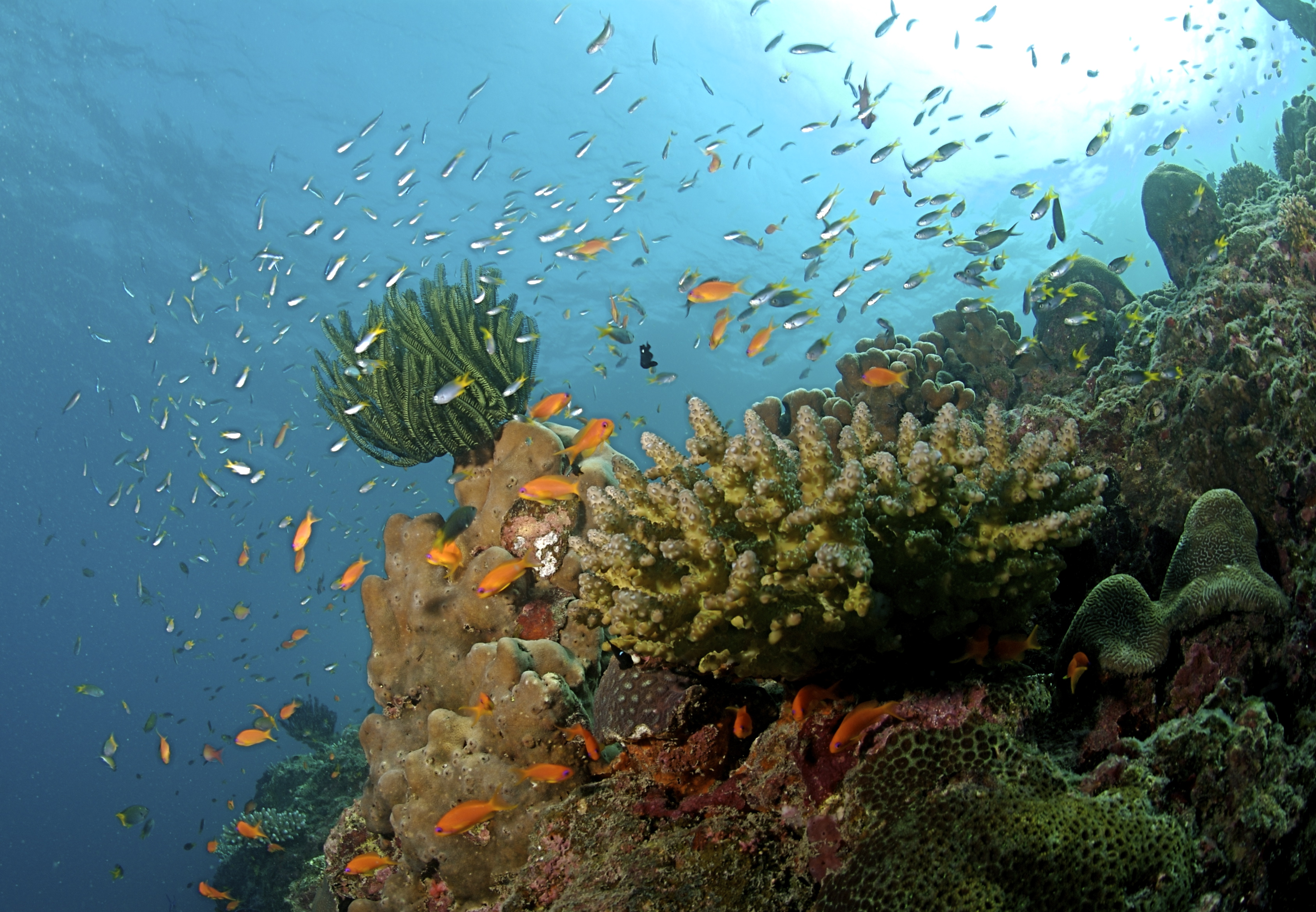 Andaman Islands, India Hero Image