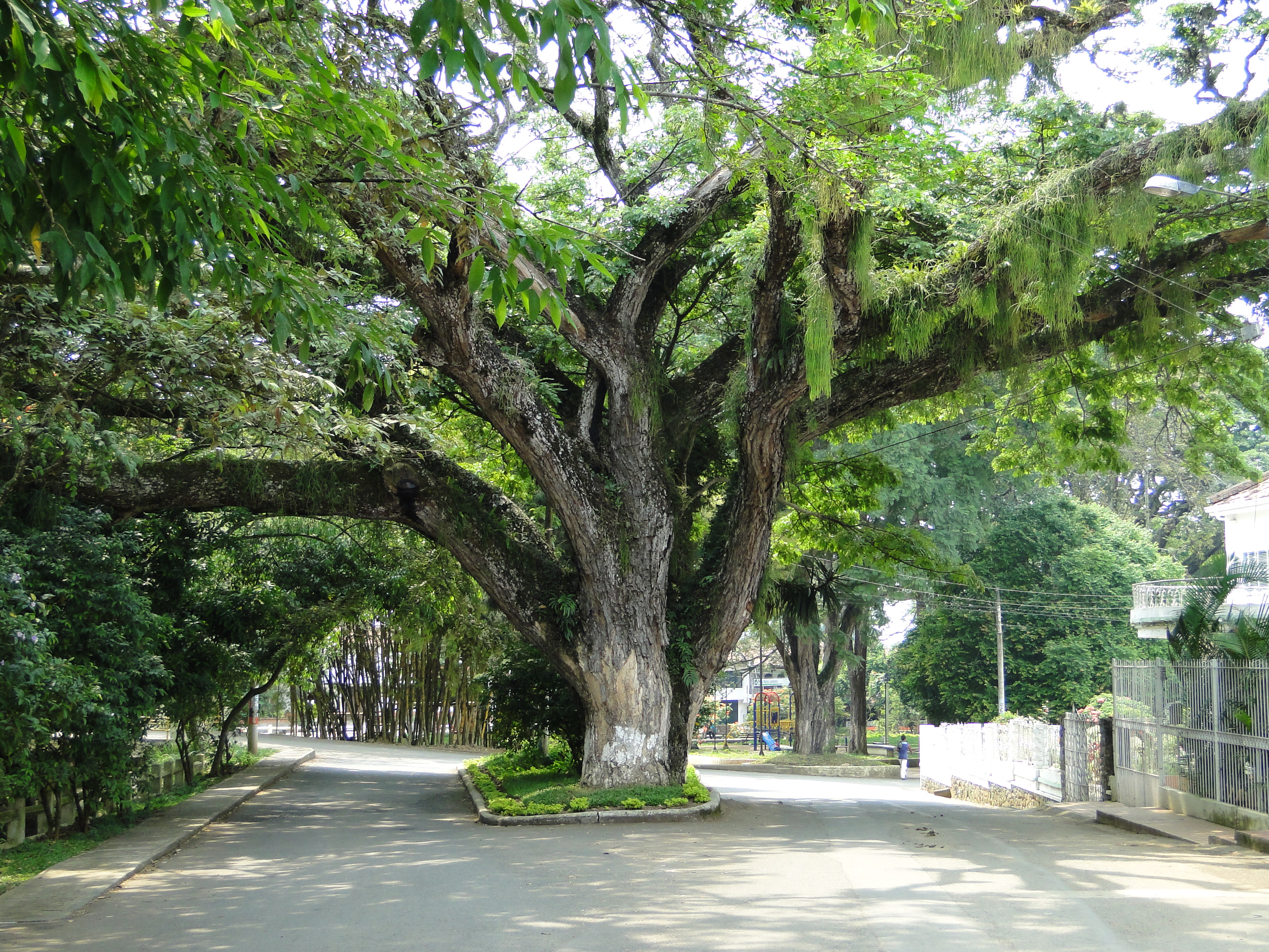 Santander de Quilichao, Colombia Hero Image