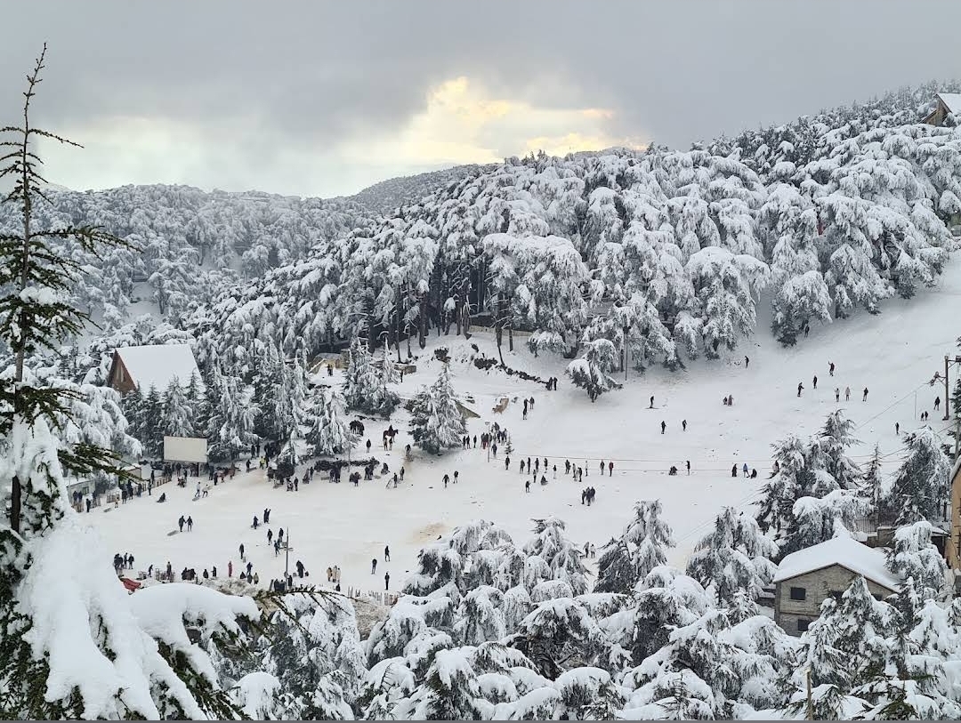 Blida, Algeria Hero Image