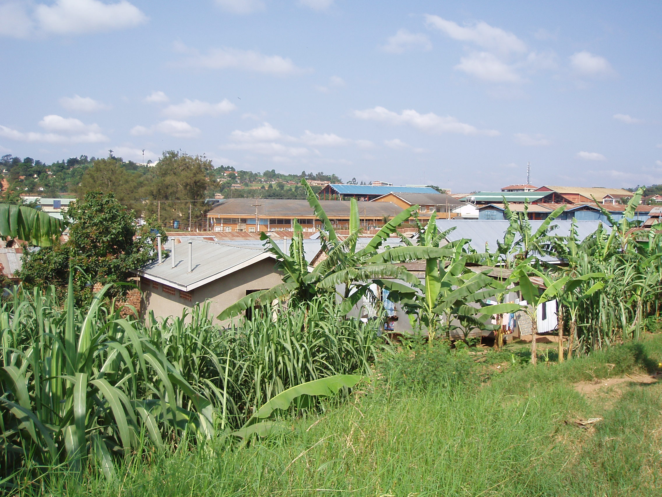 Lugazi, Uganda Hero Image