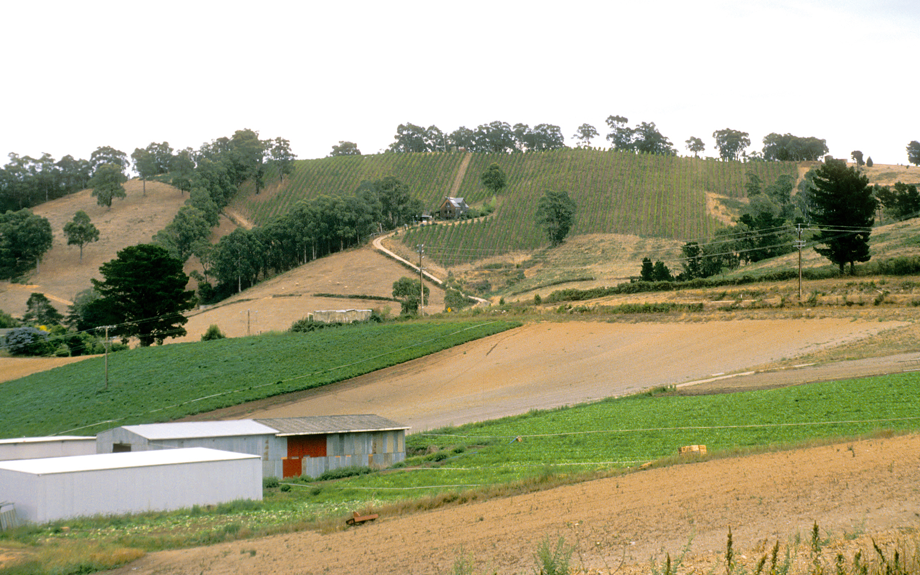 Adelaide Hills, Australia Hero Image