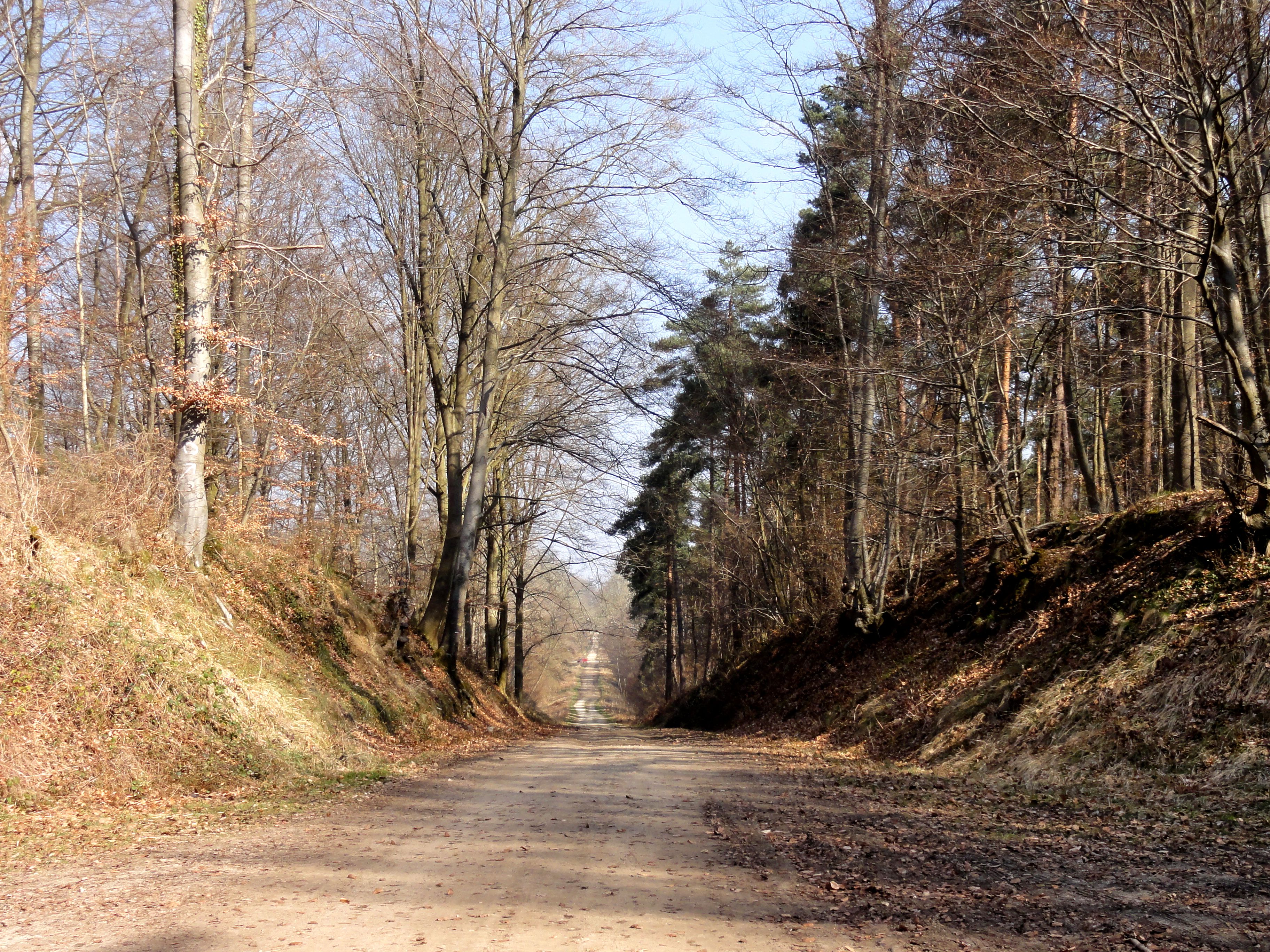 Compiègne (Compiegne), France Hero Image