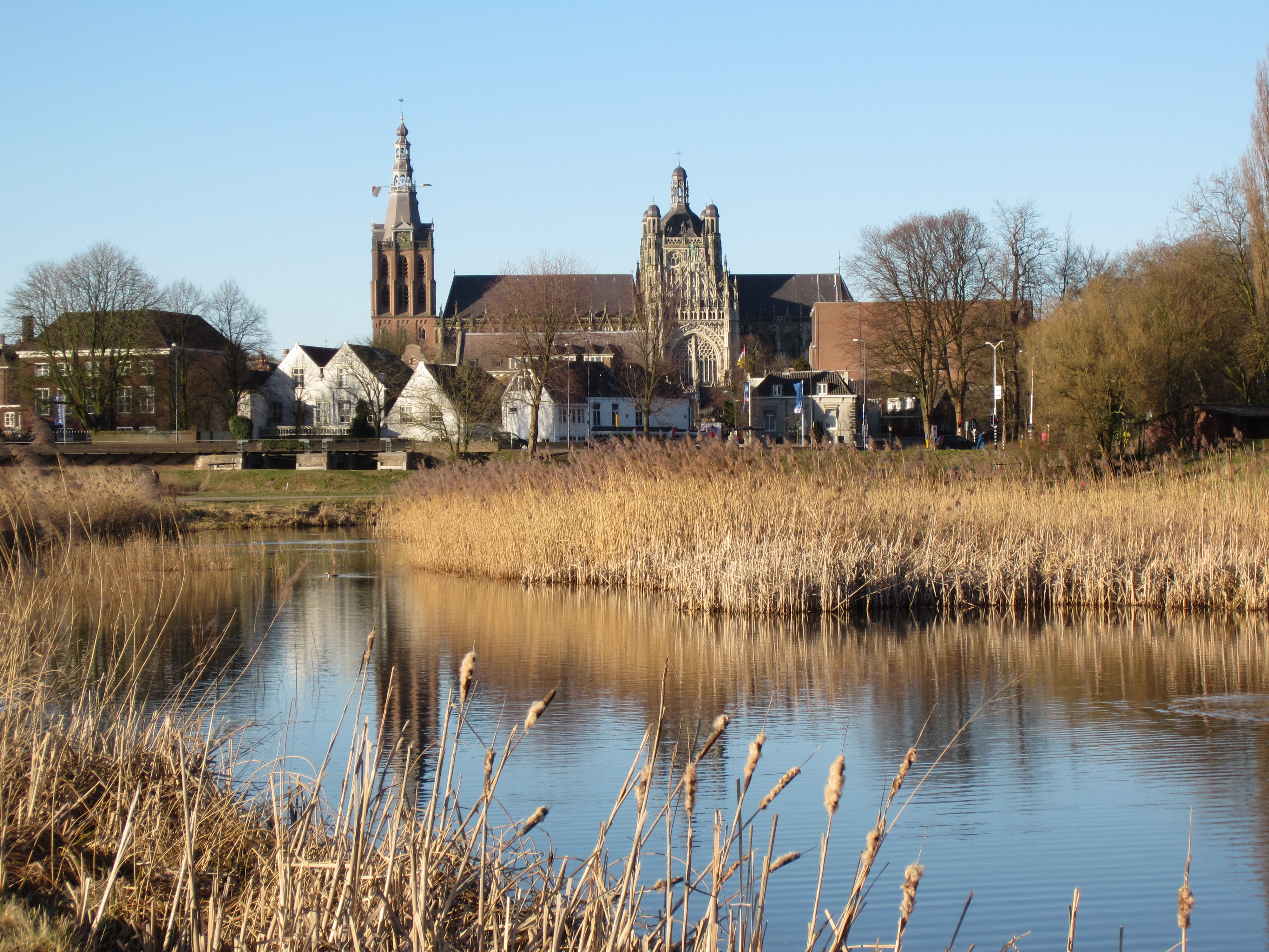 's-Hertogenbosch, Netherlands Hero Image